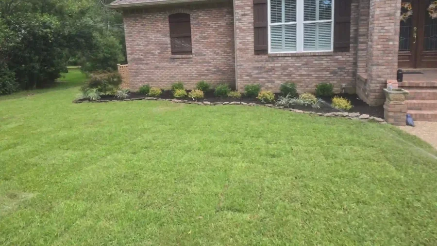 Sod Installation Service 539857711 1254460043149926 4955229298786084153 n