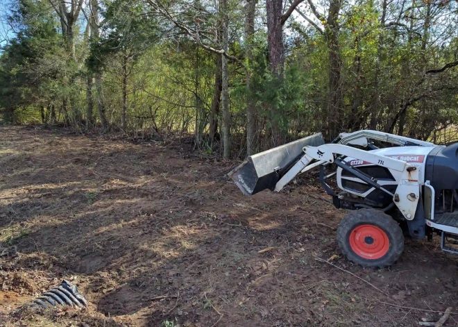 Local Landscaping Company