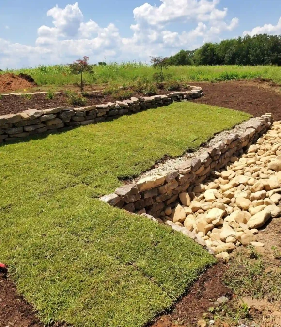 Sod Installation Service